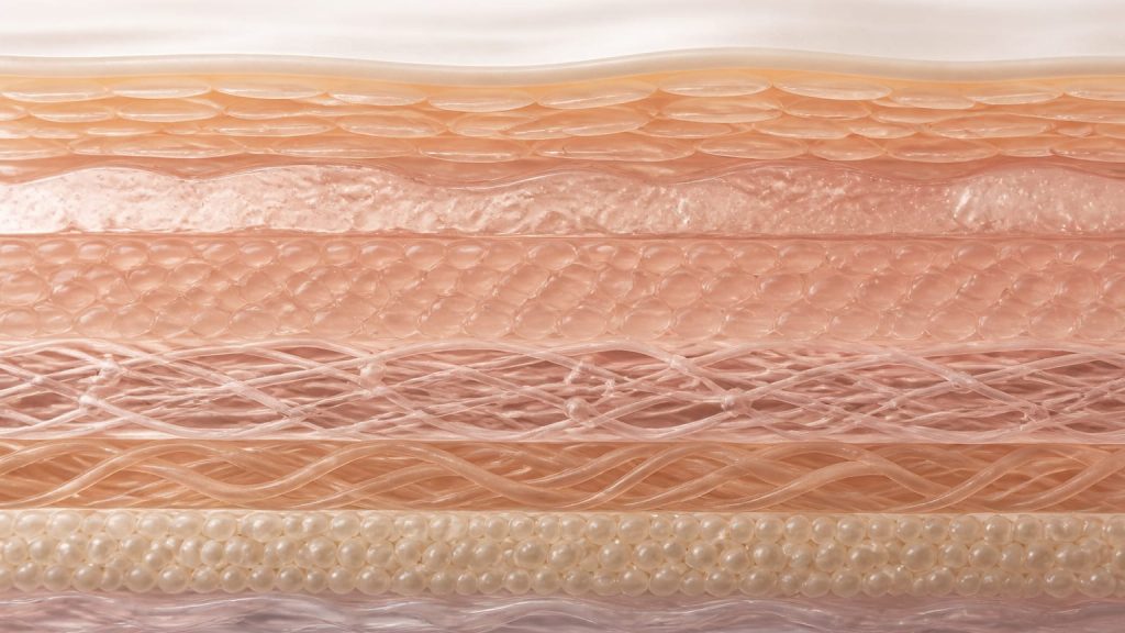 Several translucent horizontal layers stacked in cross-section with subtle color variation.